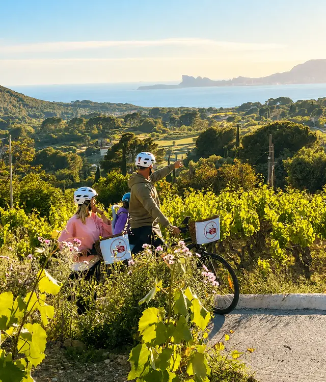 Balade à vélo électrique dans les vignes du Domaine Saint Côme